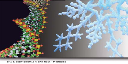 imágen ADN y cristal de nieve